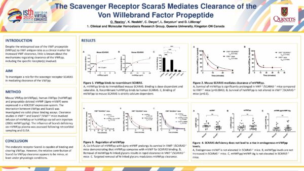 Poster_ISTH2020_The_Scavenger_Receptor_Scara5_Mediates_Clearance_VWFpp_Protect_Eng