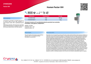 Product sheet Human Factor XIII