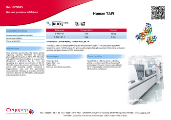 Product sheet Human TAFI