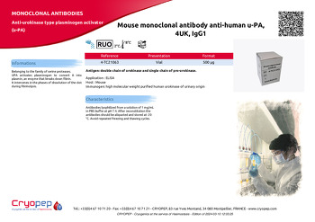 Product sheet Mouse monoclonal antibody anti-human u-PA, 4UK, IgG1