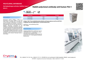 Product sheet Rabbit polyclonal antibody anti-human PAI-1