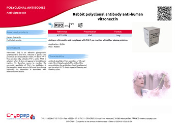Product sheet Rabbit polyclonal antibody anti-human vitronectin