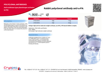 Product sheet Rabbit polyclonal antibody anti-u-PA