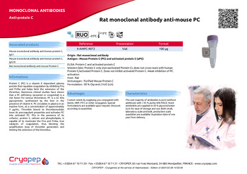Product sheet Rat monoclonal antibody anti-mouse PC