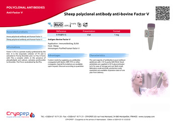 Product sheet Sheep polyclonal antibody anti-bovine Factor V