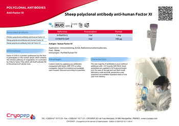 Product sheet Sheep polyclonal antibody anti-human Factor XI