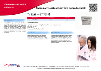 Product sheet Sheep polyclonal antibody anti-human Factor XII