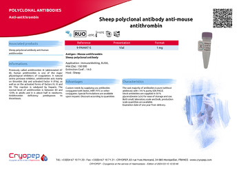 Product sheet Sheep polyclonal antibody anti-mouse antithrombin