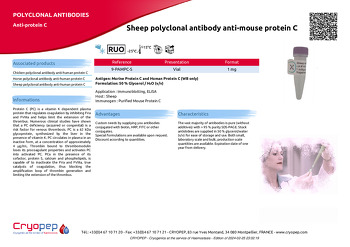 Product sheet Sheep polyclonal antibody anti-mouse protein C