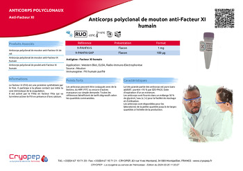 Fiche produit Anticorps polyclonal de mouton anti-Facteur XI humain